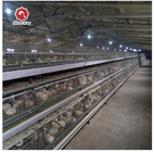 A Type Coop Layer Chicken Cage 430mm Long For Poultry Farm