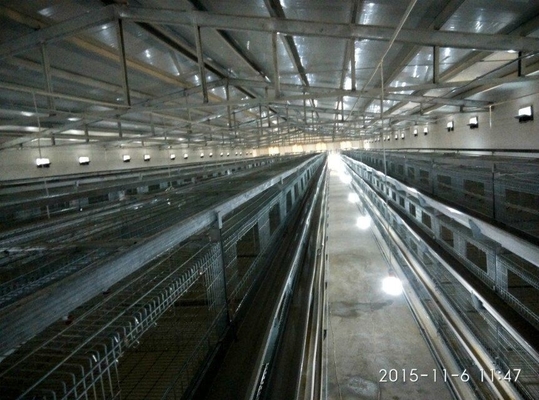 Galvanized A-Type Laying Hens 5-Layer Battery Cage And Automatic Breeding System