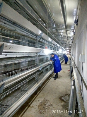 108-144Birds Poultry Cage 3-4Layers Broiler Raising Equipment