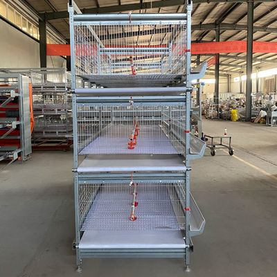 Automated H-Type Broiler Cage System for High-Density Commercial Poultry Farming with Hot-Dip Galvanized Protection