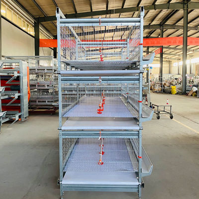 Automated H-Type Broiler Cage System for High-Density Commercial Poultry Farming with Hot-Dip Galvanized Protection