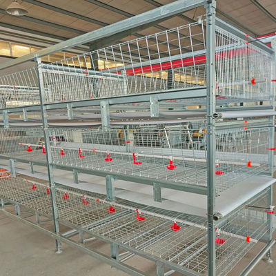 5-Tier Hot-Dip Galvanized H-Type Broiler Chicken Cage with 170 Birds Capacity