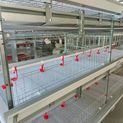 Automated H-Type Broiler Cage System for High-Density Commercial Poultry Farming with Hot-Dip Galvanized Protection