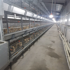 Battery Broiler Chicken Cage Poultry Drinking System