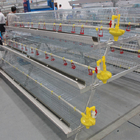 HDG Steel 3 Tires Battery Cage For Broilers Poultry Farm