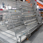 Full Automatic Poultry Cage For Layers A Type 3 Tiers