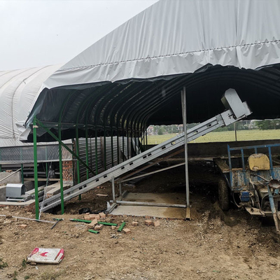 A Type Layer Poultry Cage With Full Automatic Feeding Machine