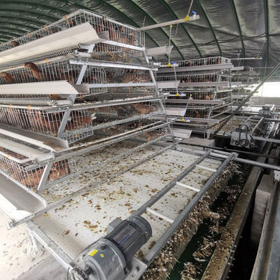 Durable Layer Chicken Cage with 3 or 4 Tiers for Space Utilization and Long Lasting Corrosion Resistance Suitable for Poultry Farms