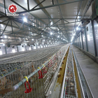 Q235 Bridge Steel Baby Chick Cage Layer Chicken Cage , SGS Manure Removing
