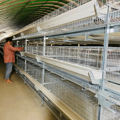 45x41x50 Cm Battery Layer Chicken Cage Hot Galvanized Silver Color