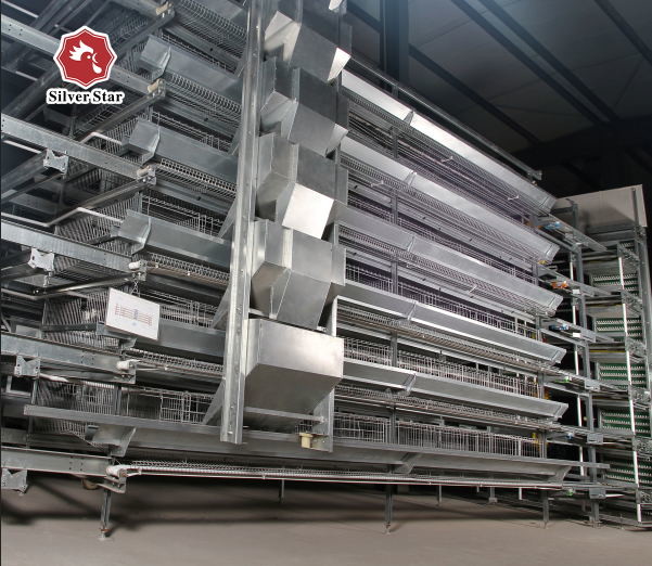 Complete Automatic H Type Poultry Cage Battery Chicken Cage