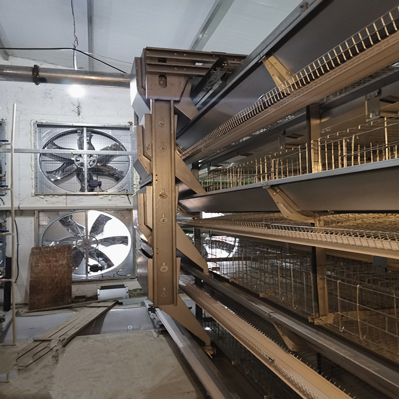 H Type Poultry Battery Chicken Cages Automatic Egg Layer Farm Laying ...