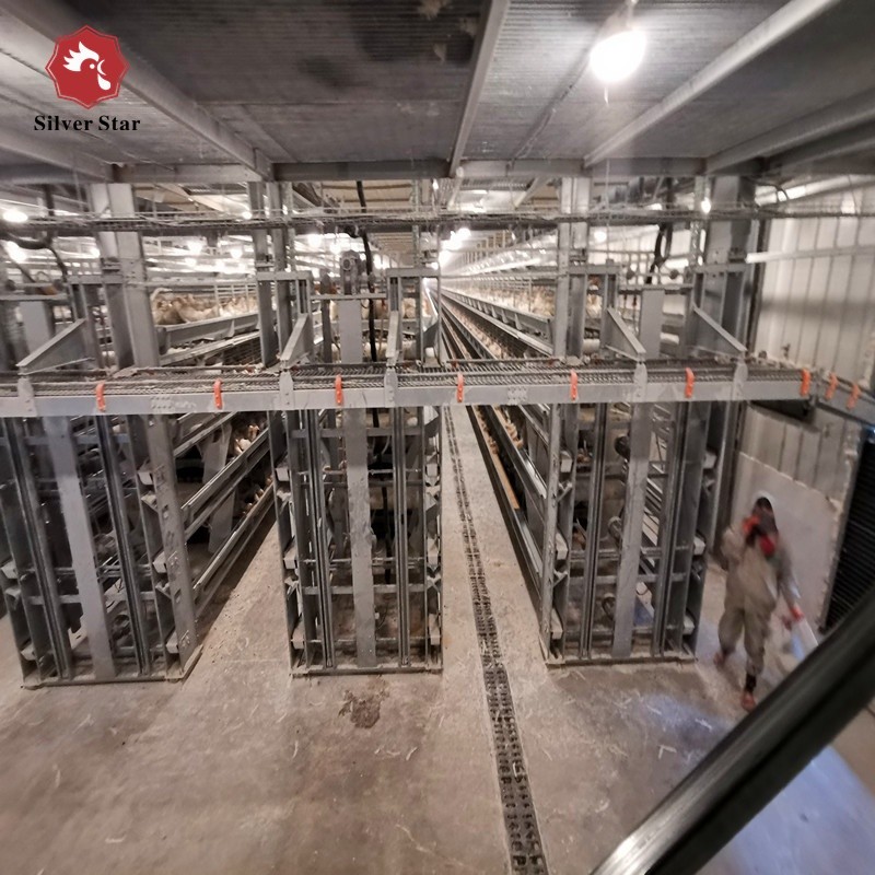 H Type Poultry Battery Chicken Cages Automatic Egg Layer Farm Laying ...