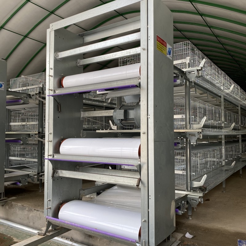 H Type Battery Layer Chicken Cages Automatic Egg Poultry Farms 10 Tiers