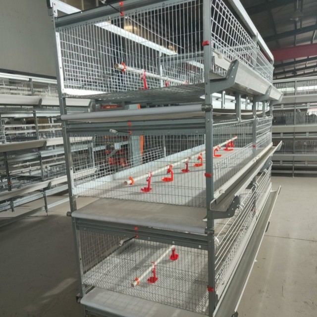 H Type Battery Poultry Chicken Cage Automatic Layer And Broiler 3 Tiers ...