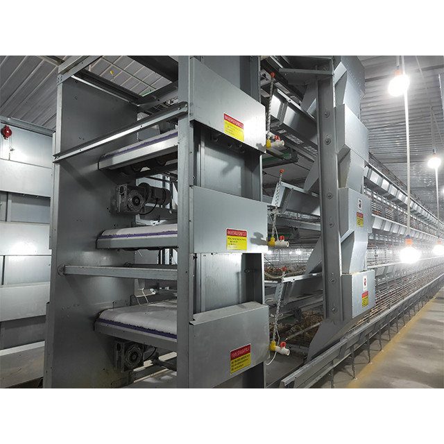 H Type Battery Poultry Chicken Cage Automatic Layer And Broiler 3 Tiers ...