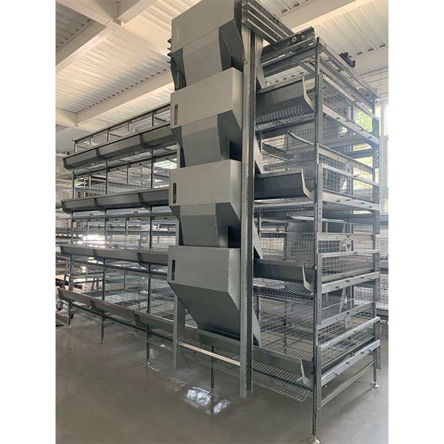 H Type Battery Poultry Chicken Cage Automatic Layer And Broiler 3 Tiers ...