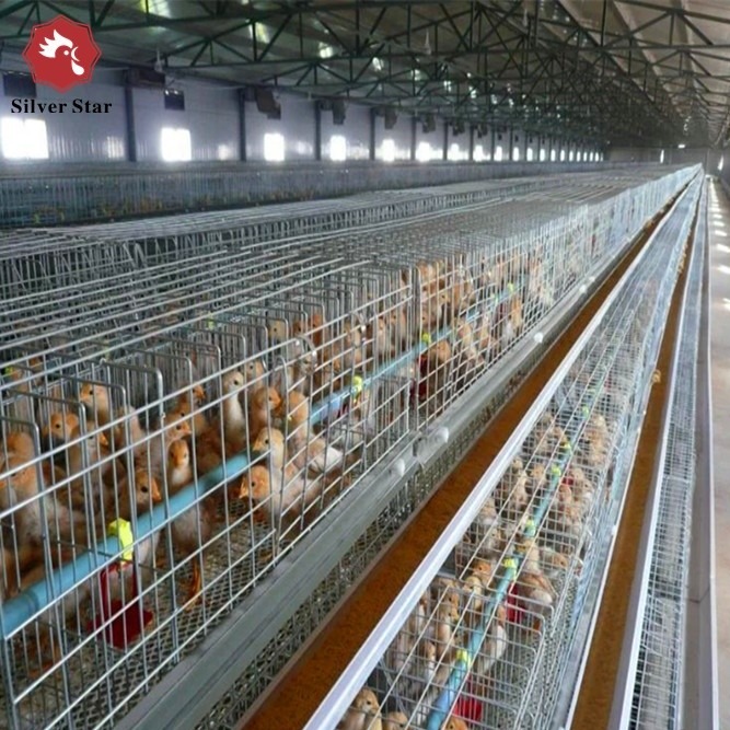 A Type Battery Layer Chicken Cages H-Type Battery Cage And Automatic Breeding System