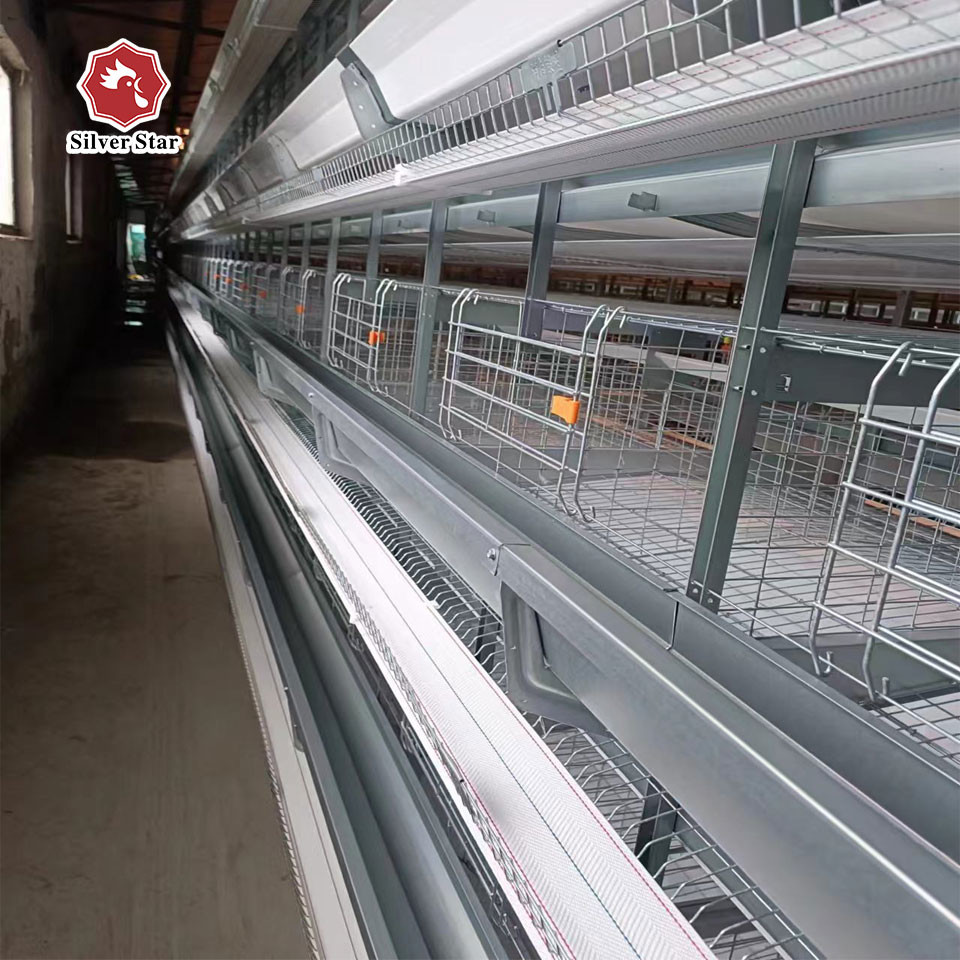 H Type Layer Chicken Laying Cage Automatic Poultry Equipment Hens ...