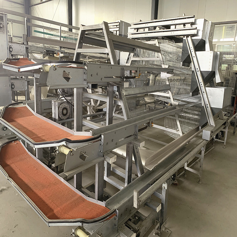 Wanxin Motor Automatic Chicken Egg Collector , 2mm HDG Layer Poultry