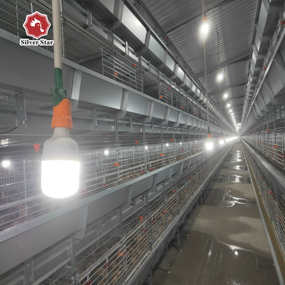 Hot Galvanized Baby Chick Broiler Chicken Cage For Chicken Farm