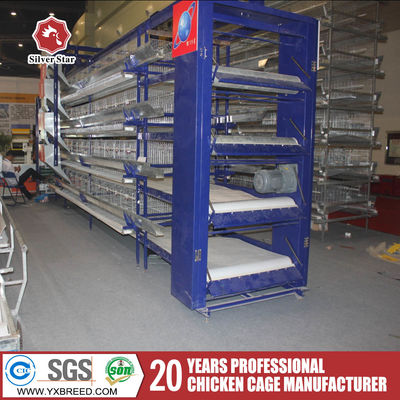 Automated H-Type Broiler Cage System for High-Density Commercial Poultry Farming with Hot-Dip Galvanized Protection
