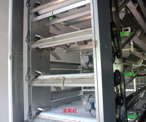Automated H-Type Broiler Cage System for High-Density Commercial Poultry Farming with Hot-Dip Galvanized Protection