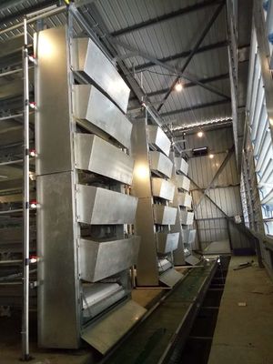 Fully Automatic H-Type Broiler Cage System with Hot-Dip Galvanized Steel for High-Density Poultry Farming