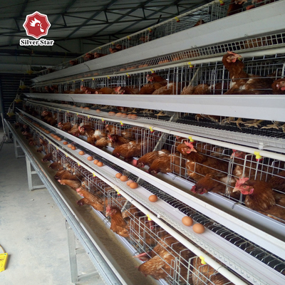 Three Tiers 120 Birds Capacity Battery Chicken Cage A Type