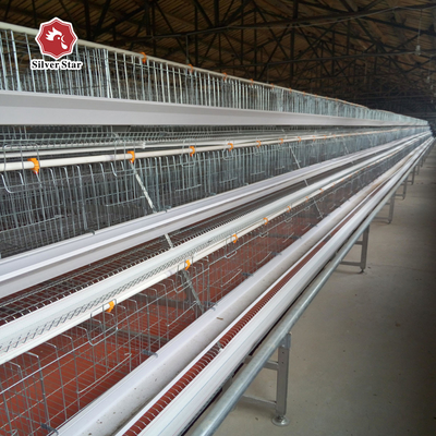 10000 Layers Egg Battery Chicken Cage In Poultry Farming