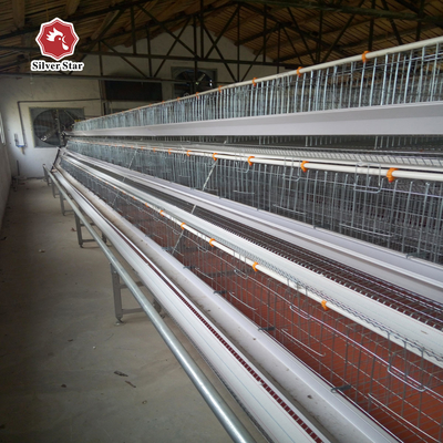 Egg Laying Chicken Cage With Full Automatic System