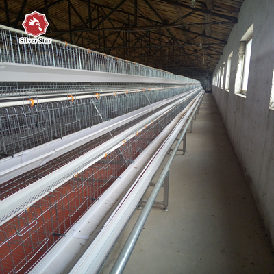Hens Layer Egg Chicken Cage Automatic Feeding System