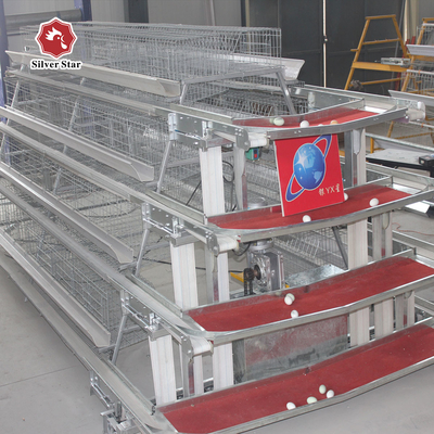 Hot And Cold Galvanized Battery Cage System In Poultry