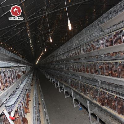 Hens Layer Egg Chicken Cage Automatic Feeding System