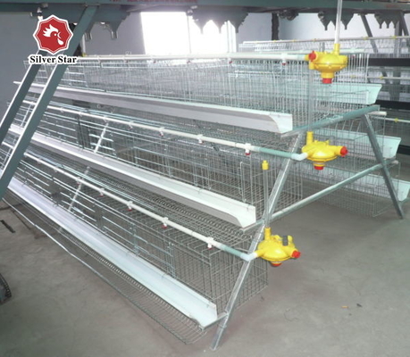 10000 Layer Farm Used Battery Chicken Cage 12 Weeks To 16 Weeks