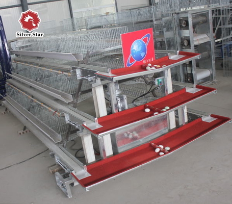 43*41*41cm Per Door Size A Type Battery Cage Poultry Farming