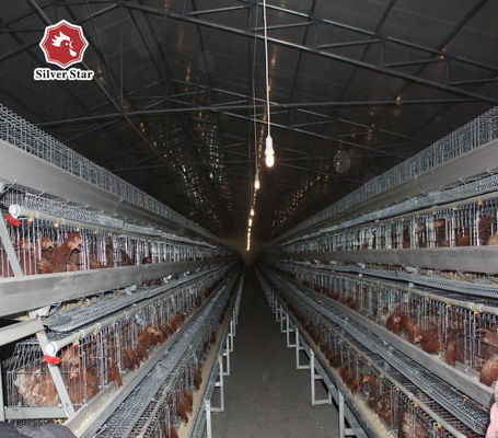 A Type Layer Battery Chicken Cage System In Poultry Farm Big Capacity