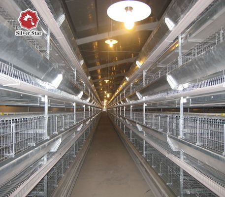 Durable Fully Automatic Multi Tiers H Type Layer Cage 9 Layers / Cell