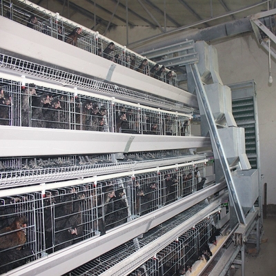 A Type Battery Layer Chicken Cage For Poultry 5 Door 195*41*41cm