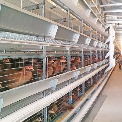 H Type Egg Layer Battery Chicken Cages 8 Tiers Galvanized Steel Wire
