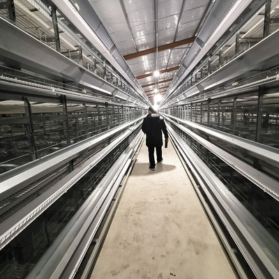4 Layer Battery H Type Chicken Egg Laying Hens Poultry Cage With Automatic Egg Collection System