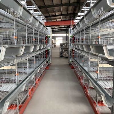 Automatic H-Type Broiler Battery Cage System for Commercial Meat Chicken Farms with Hot-Dip Galvanized Frame and 3-4 Tiers Configuration