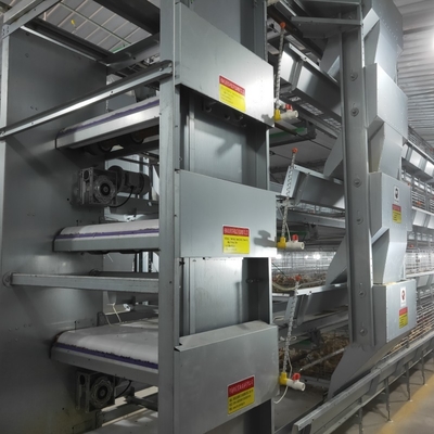 Hot Galvanized Poultry Farming Battery Cage System For Laying Hen