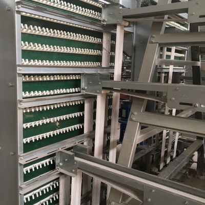 A Type Battery Chicken Cage For Poultry 5Tiers Q235A  Automatic