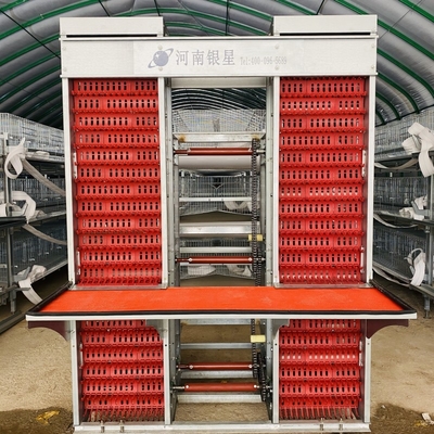 A Type Layer Battery Chicken Cages Automatic Poultry Zinc Cocating 275g / M2