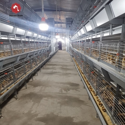 Hot Dip Galvanized Wire H Type Battery Cages for Broiler Chicken With Auto Feeding System