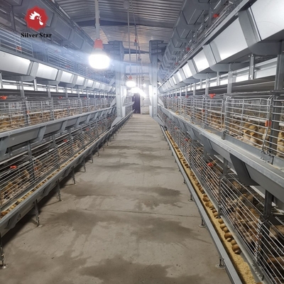 SGS Automatic Broiler Chicken Cage ISO9001 Q235A Hot Dipped Galvanized