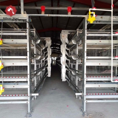 Hot Dip Galvanized Wire H Type Battery Cages for Broiler Chicken With Auto Feeding System