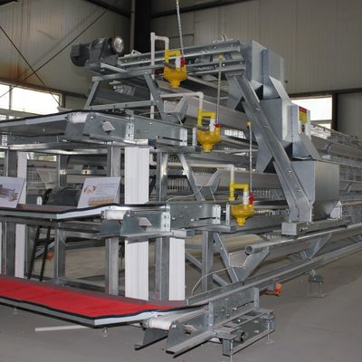 A-Type Layer Chicken Cage System with 3-Tier Capacity, Hot-Dip Galvanized Steel & Automatic Feeding for Poultry Farms