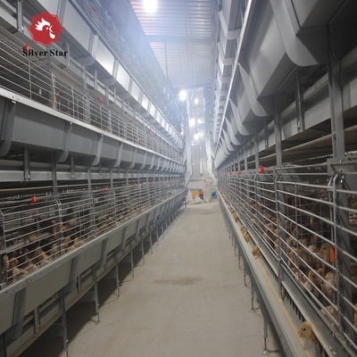 2000 Birds H Type Broiler Meat Chicken Cage ISO9001 43 X 60 X 41 Cm